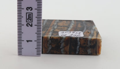 Stabilized mammoth molar piece