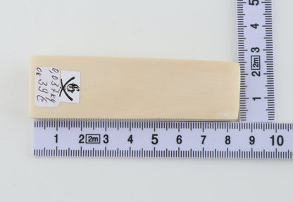 White mammoth ivory segment