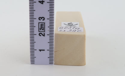 White mammoth ivory segment