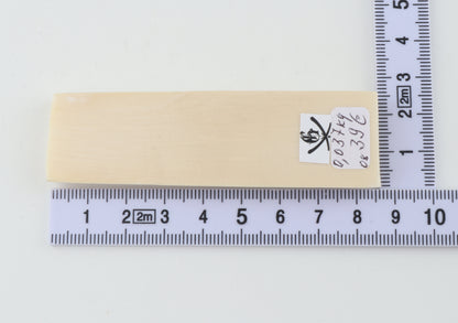 White mammoth ivory segment