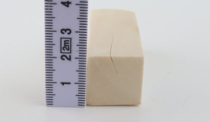 White mammoth ivory segment