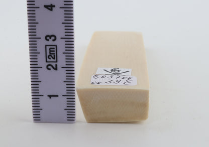 White mammoth ivory segment