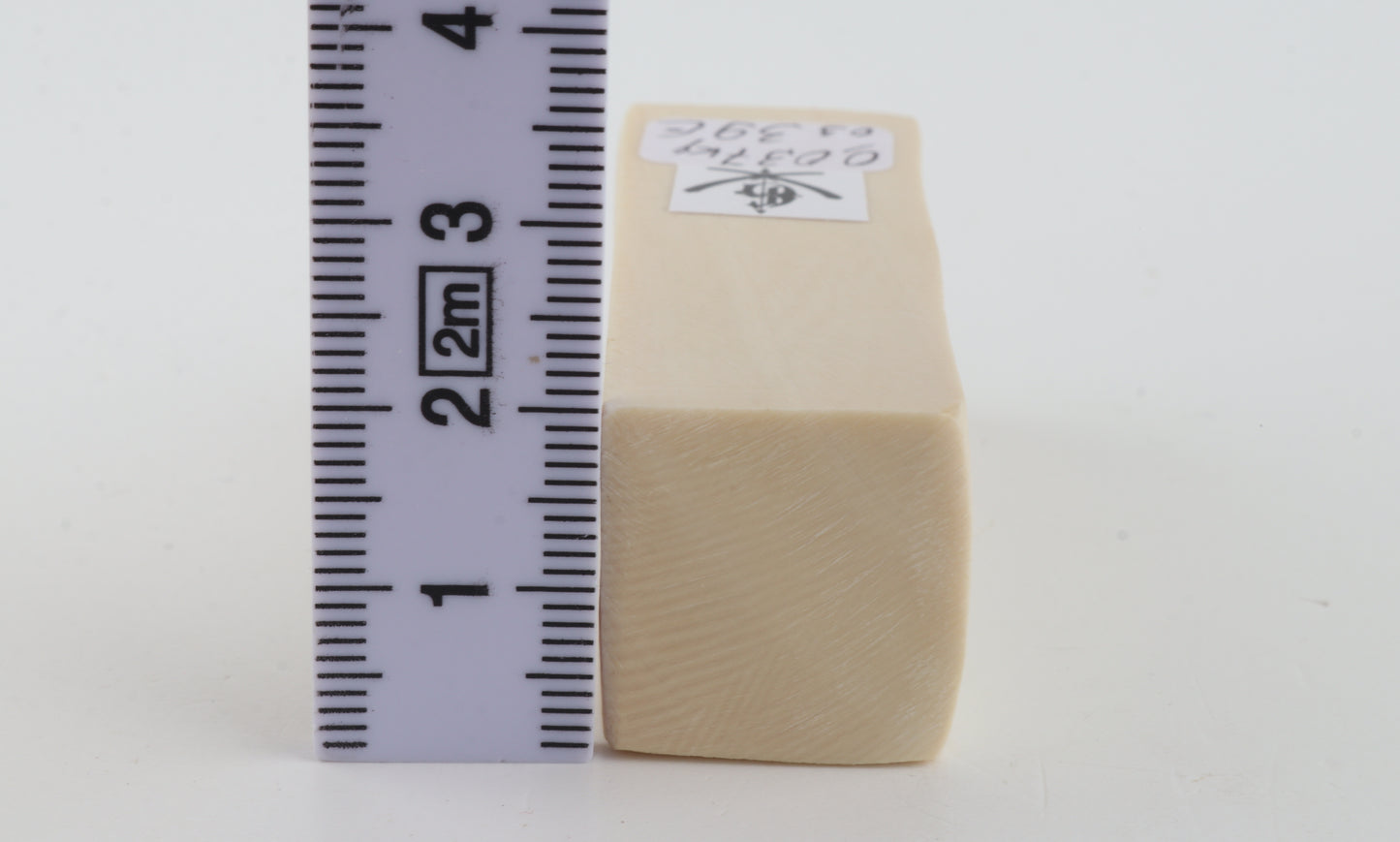 White mammoth ivory segment