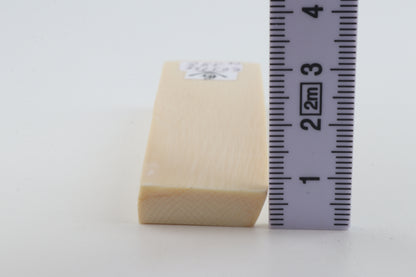 White mammoth ivory segment
