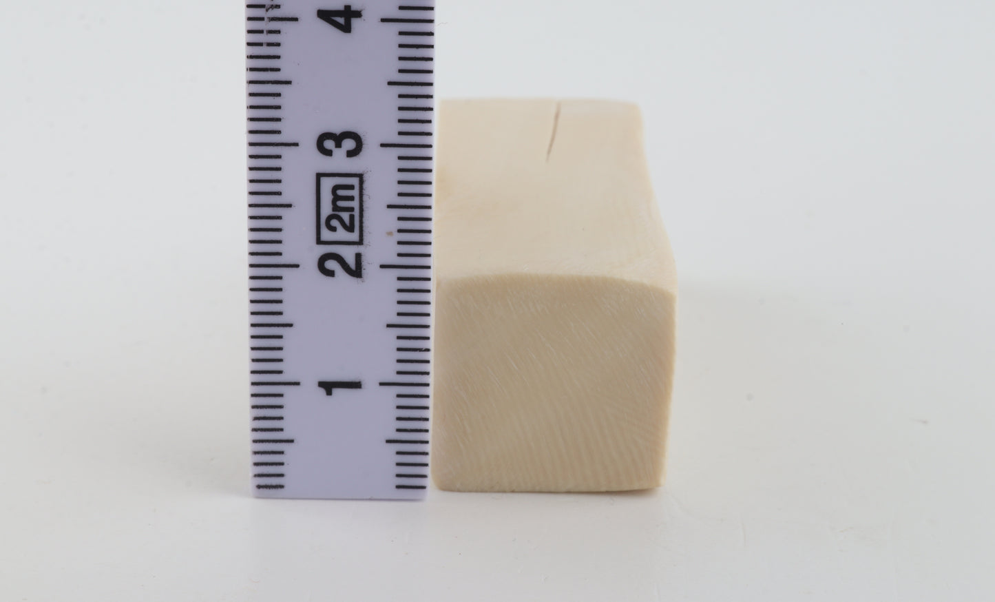 White mammoth ivory segment
