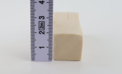 White mammoth ivory segment