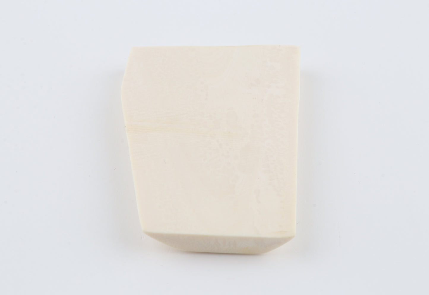 White mammoth ivory segment