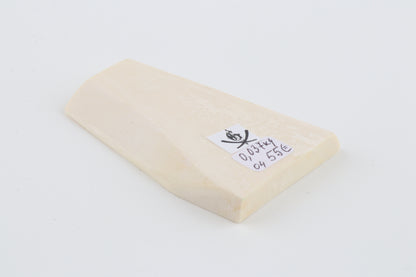 White mammoth ivory segment