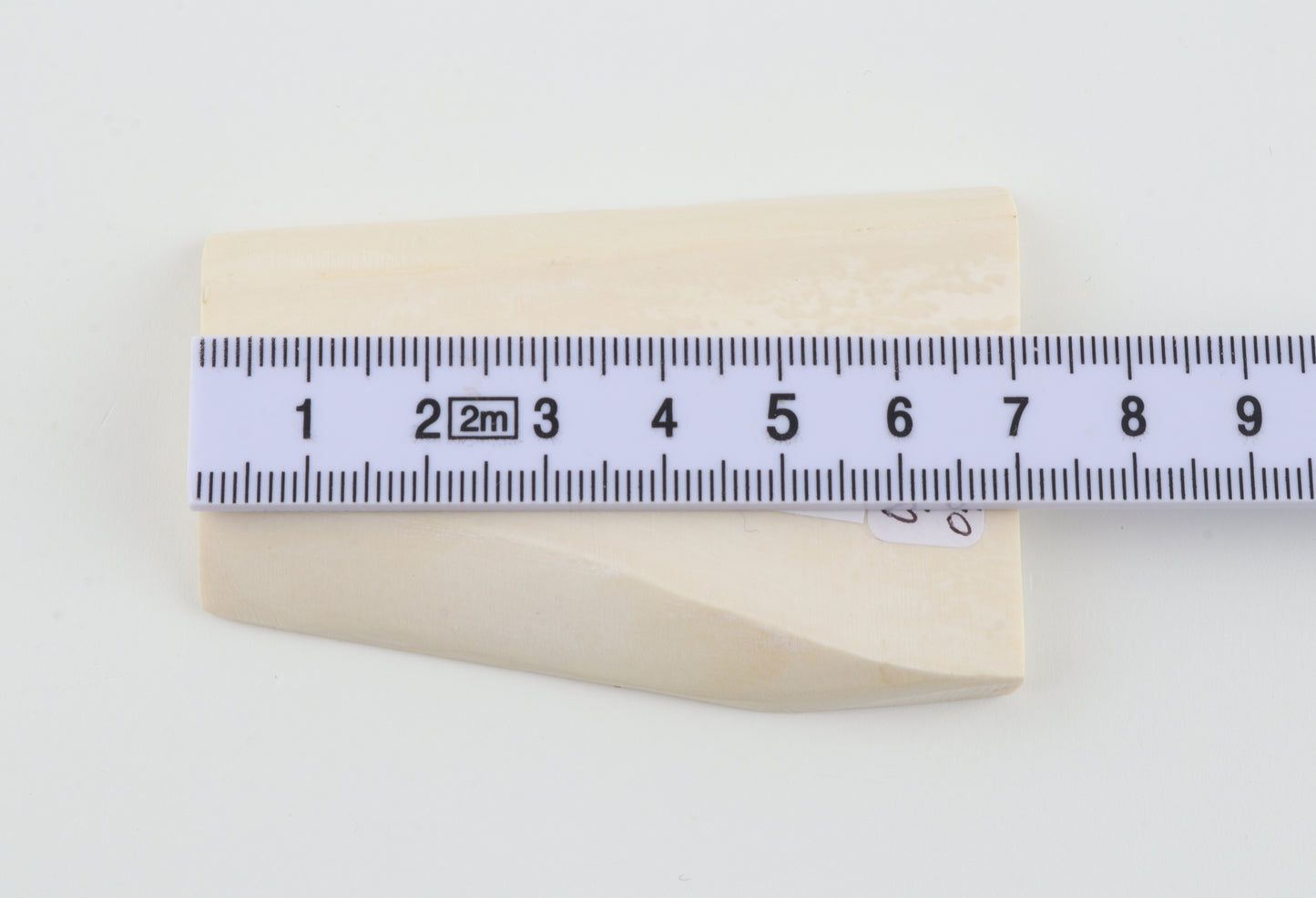 White mammoth ivory segment