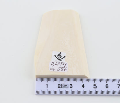 White mammoth ivory segment