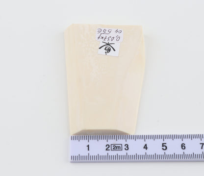 White mammoth ivory segment