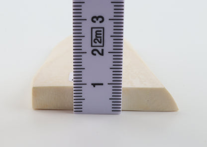 White mammoth ivory segment
