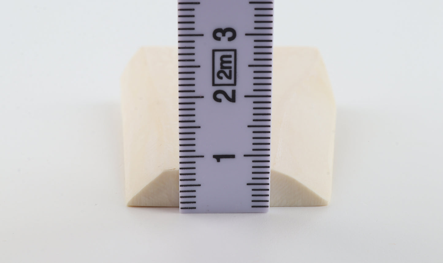 White mammoth ivory segment