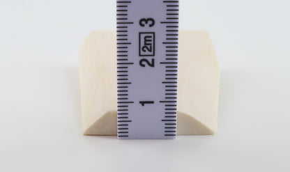 White mammoth ivory segment