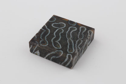 Stabilized mammoth molar block