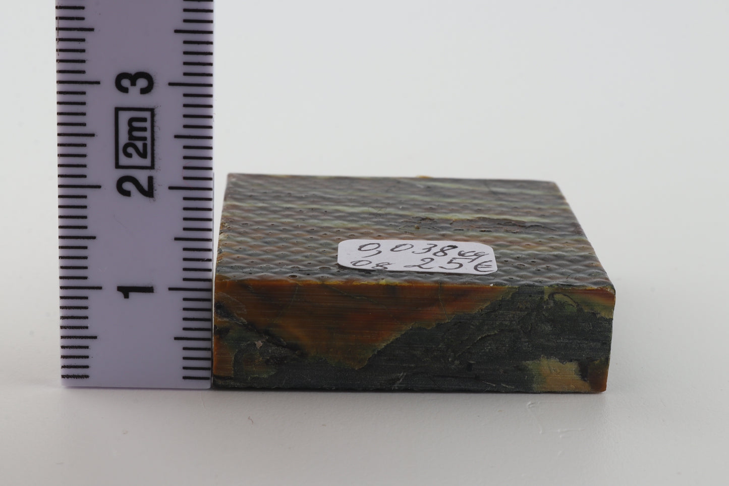 Stabilized mammoth molar piece