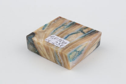 Stabilised mammoth molar piece