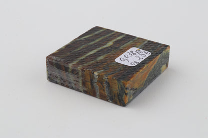 Stabilized mammoth molar piece