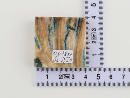 Stabilised mammoth molar piece