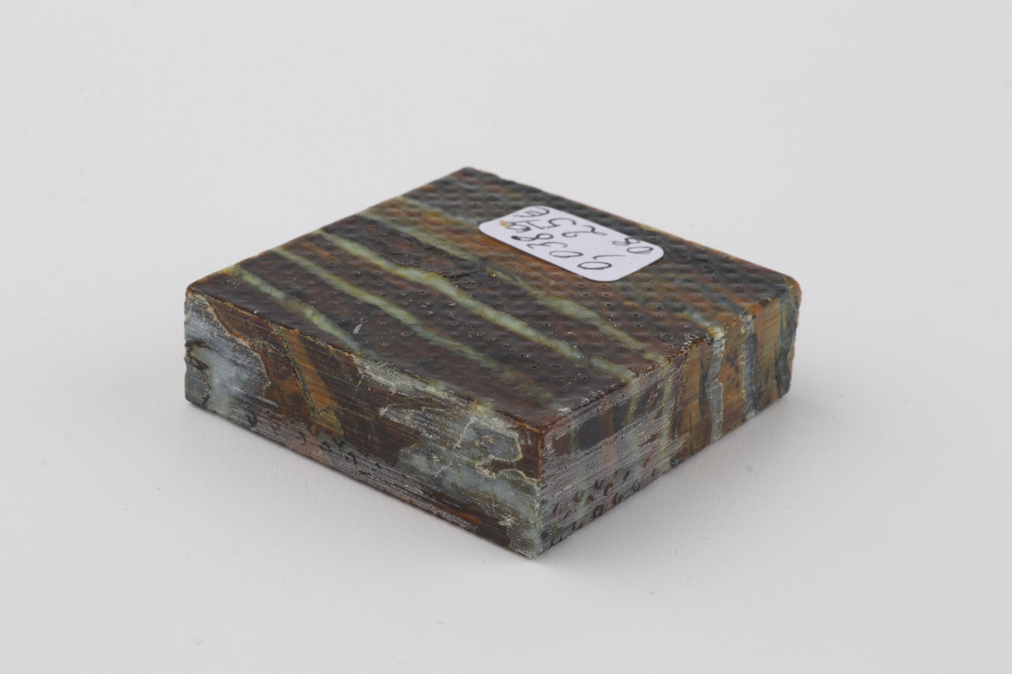 Stabilized mammoth molar piece