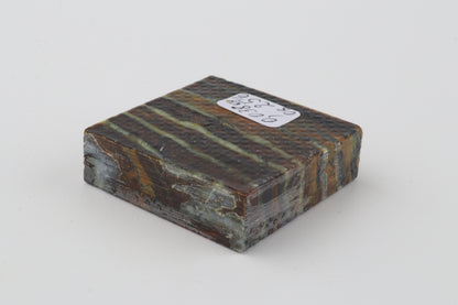 Stabilized mammoth molar piece