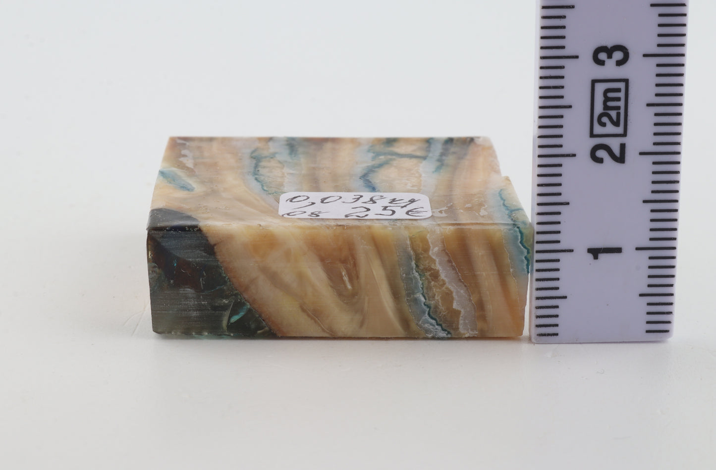 Stabilised mammoth molar piece