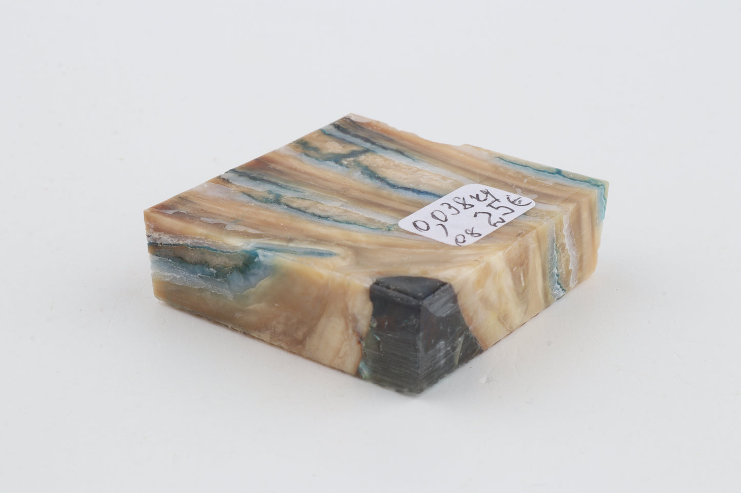 Stabilised mammoth molar piece