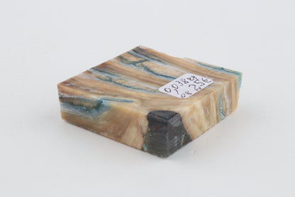 Stabilised mammoth molar piece