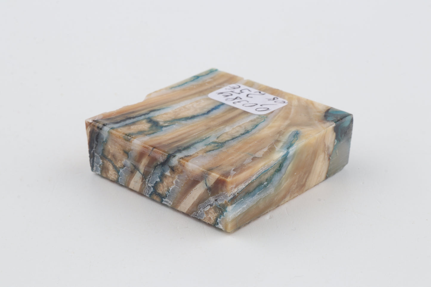 Stabilised mammoth molar piece