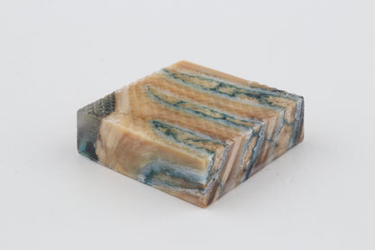 Stabilised mammoth molar piece
