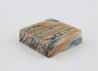 Stabilised mammoth molar piece