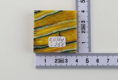 Stabilized mammoth molar square