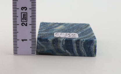 Stabilized mammoth molar piece