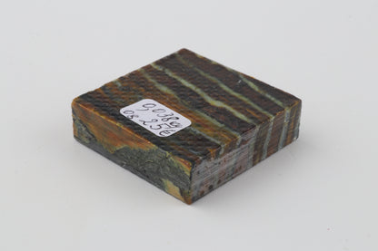 Stabilized mammoth molar piece