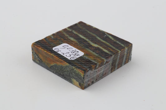 Stabilized mammoth molar piece