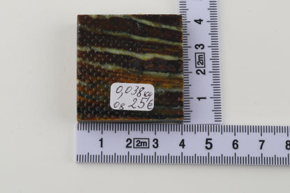 Stabilized mammoth molar piece