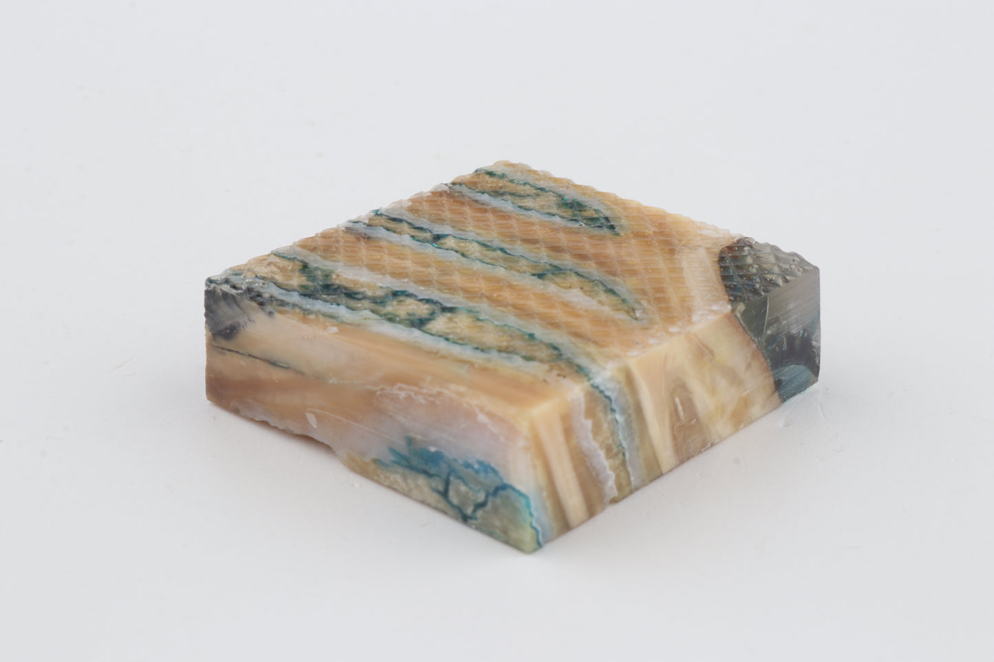 Stabilised mammoth molar piece