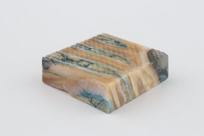 Stabilised mammoth molar piece