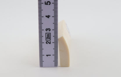 White mammoth ivory segment