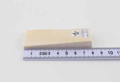 White mammoth ivory segment