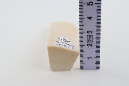 White mammoth ivory segment