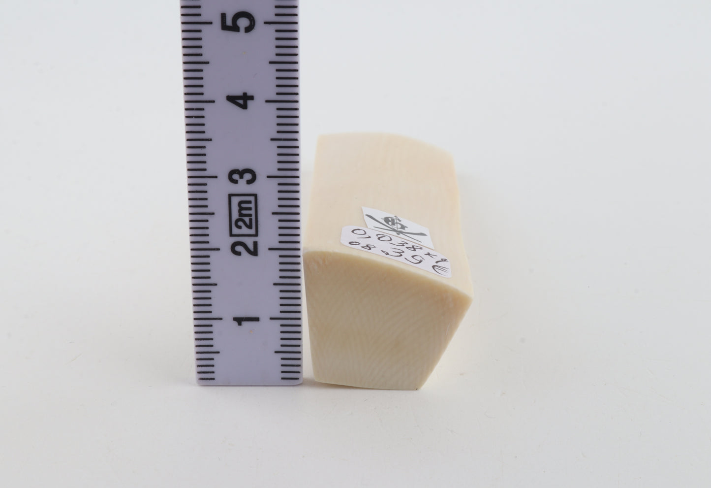 White mammoth ivory segment