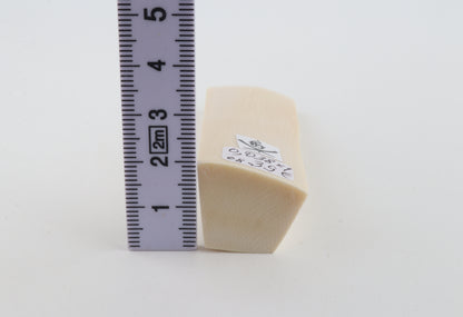 White mammoth ivory segment
