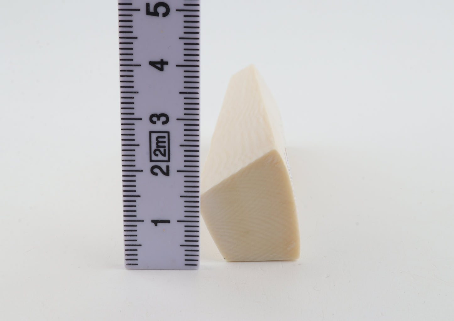 White mammoth ivory segment