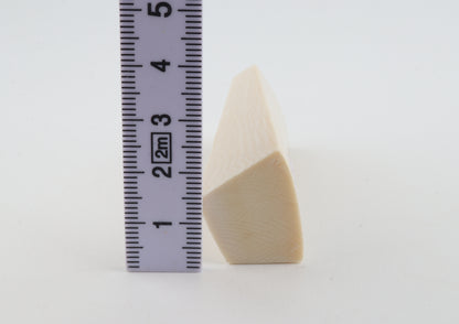 White mammoth ivory segment