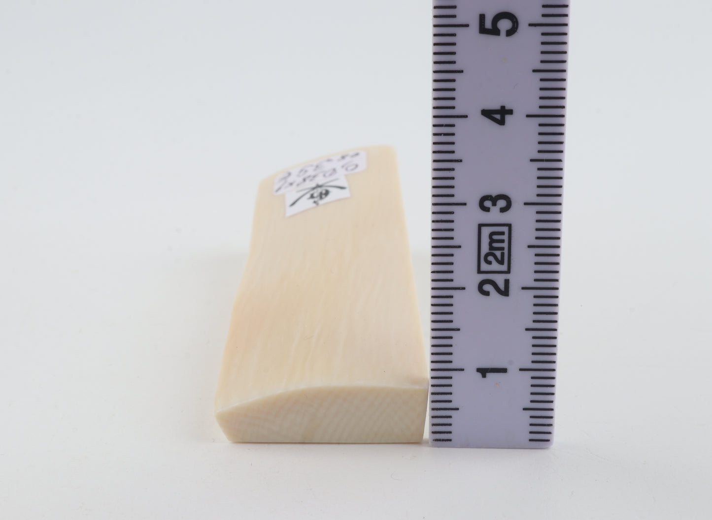 White mammoth ivory segment