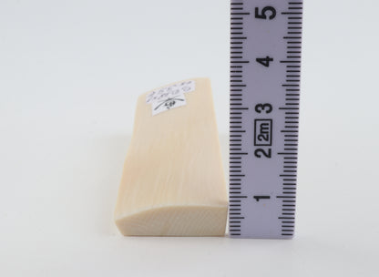 White mammoth ivory segment