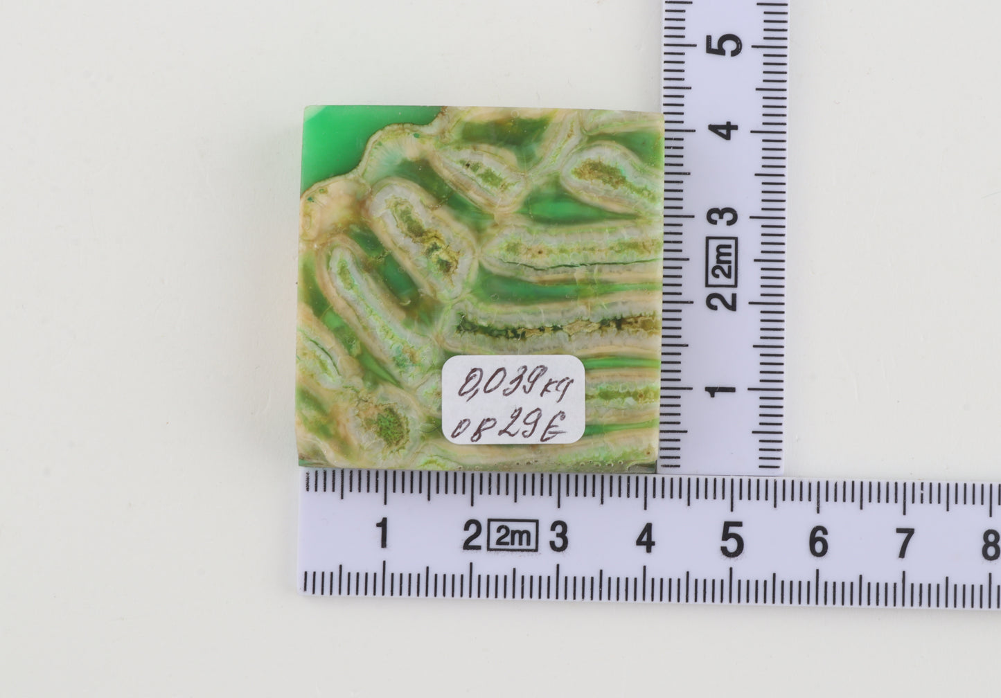 Stabilised mammoth molar piece