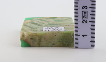 Stabilised mammoth molar piece