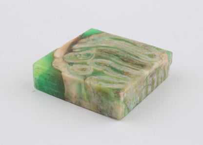 Stabilised mammoth molar piece